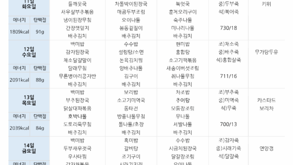 2025년-3월-기본식-식단표_페이지_3.png
